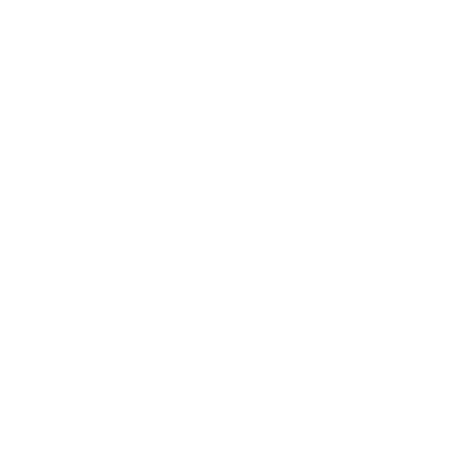 logo light